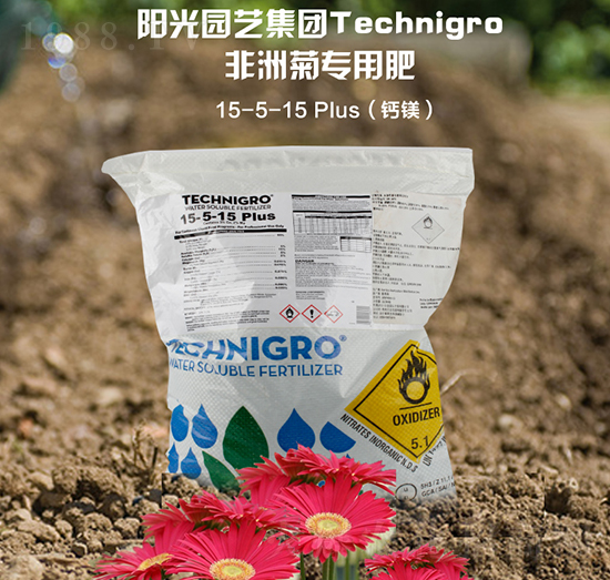 ޾Ռ(zhun)}V5-5-15-(yng)ǻ