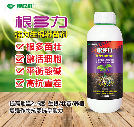 (qing)焩-z