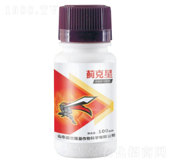 ER(zhun)-E-ʢ¡