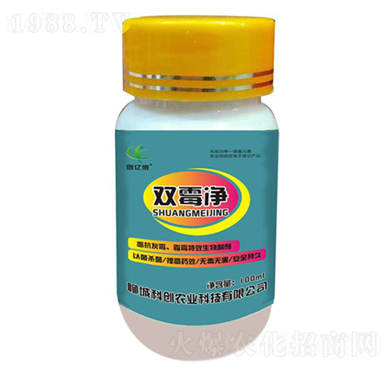 pù-Ƅ(chung)rI(y)