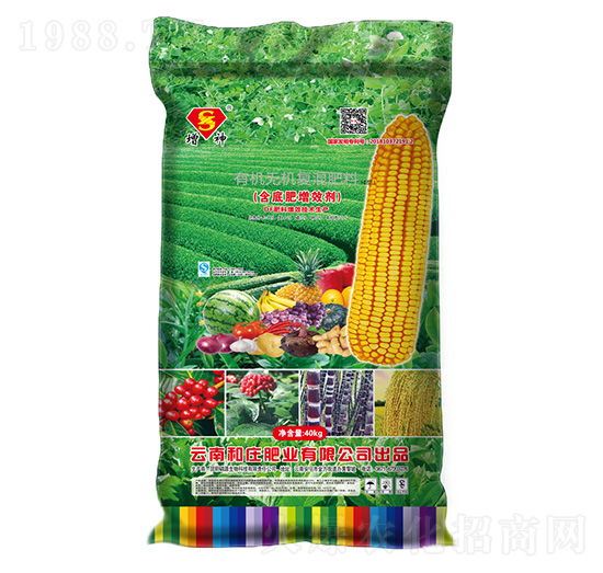 ЙCoCͻ11-5-0--fʘI(y)