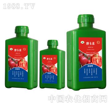 ьðҺķ-Ħ-(qing)оH