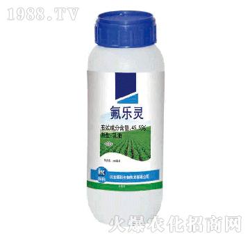 45.5%(l)`-x