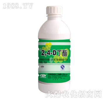 72%24ζ-G