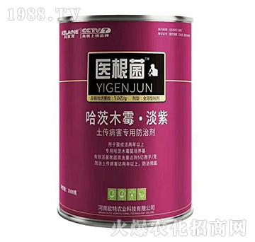 (zhun)÷΄-t(y)-Wr(nng)I(y)