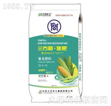 AS006LЧ(f)25-5-10-