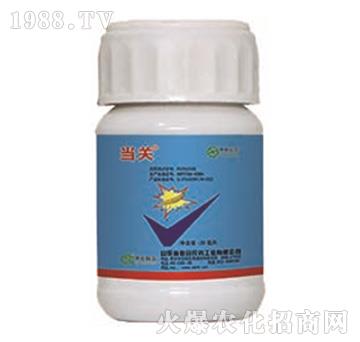 24%x+5%S-P(gun)-r(nng)(lin)