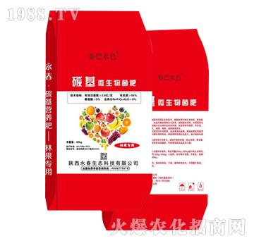 ֹ(zhun)̼΢-B(ti)