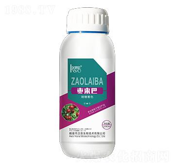 增糖著色-棗來(lái)巴-漢思生物