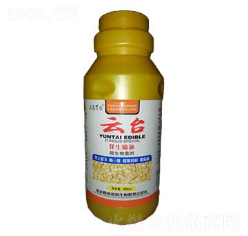 ʩ(zhun)΢-_(ti)