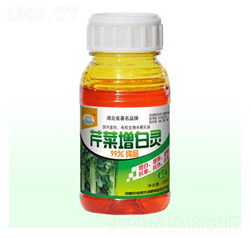 ۲`-ʢ-ԴʘI(y)