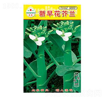 mN-绨m-̫NI(y)